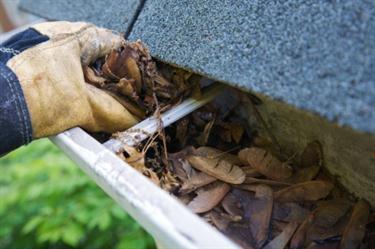 Cleaning gutter in Moseley VA.